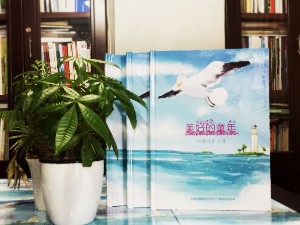 小學(xué)畢業(yè)紀(jì)念相冊定制-大連制作班級留念冊公司
