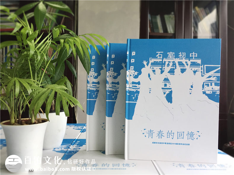 畢業(yè)紀(jì)念冊(cè)設(shè)計(jì)-提升專(zhuān)業(yè)策劃和方案設(shè)計(jì)的能力