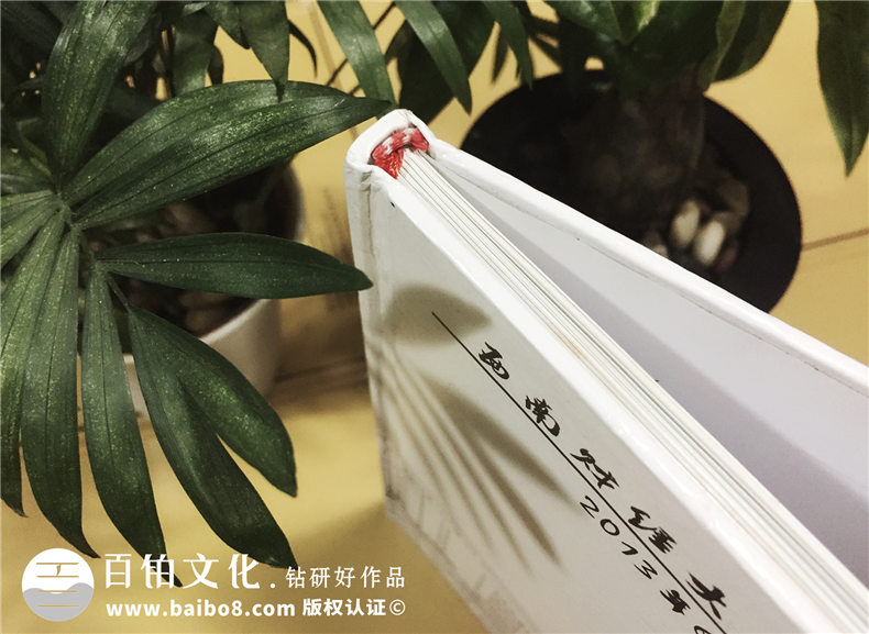 西南財(cái)大2009級(jí)公管學(xué)院-大學(xué)畢業(yè)紀(jì)念冊-同學(xué)錄