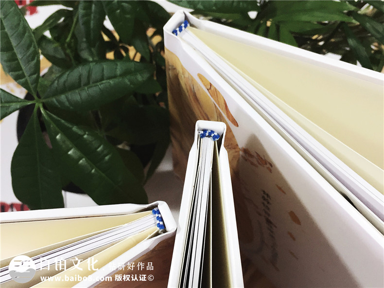 聚會(huì)紀(jì)念冊之個(gè)性同學(xué)錄紀(jì)念冊設(shè)計(jì)