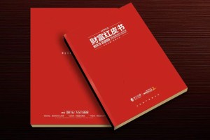 真正高端的房地產(chǎn)企業(yè)宣傳畫冊(cè)設(shè)計(jì) 擺脫創(chuàng)意文案 廣告照樣牛逼！
