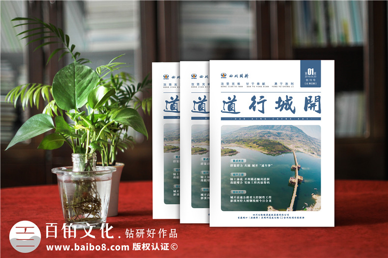 企業(yè)重大標(biāo)書制作-投標(biāo)項(xiàng)目正規(guī)標(biāo)書設(shè)計(jì)經(jīng)驗(yàn)