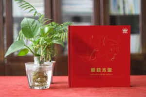川交路橋木里項(xiàng)目專刊設(shè)計(jì)制作-企業(yè)活動紀(jì)念冊
