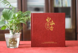 工程竣工畫冊(cè)策劃-水庫(kù)景觀項(xiàng)目開工及交工紀(jì)念相冊(cè)-工程完工圖冊(cè)