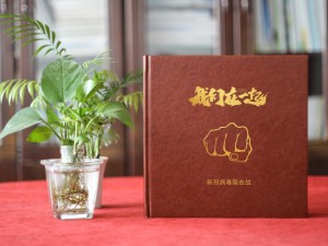 向新冠病毒抗疫英雄致敬紀念相冊制作-疫情結束工作總結照片影集