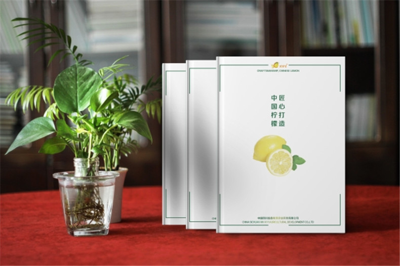【水果宣傳冊(cè)設(shè)計(jì)】 農(nóng)業(yè)公司農(nóng)產(chǎn)品畫(huà)冊(cè)制作 樣本冊(cè)印刷