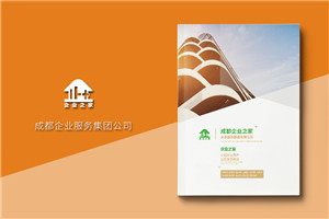 企業(yè)服務(wù)公司宣傳冊制作-財(cái)稅咨詢會計(jì)服務(wù)公司畫冊設(shè)計(jì)