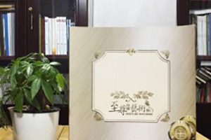 至尊精雕移門宣傳畫冊-家具產(chǎn)品畫冊設(shè)計(jì)