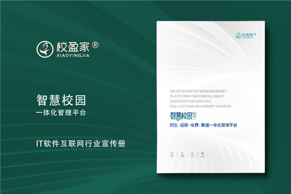 IT行業(yè)宣傳冊(cè)設(shè)計(jì)-軟件互聯(lián)網(wǎng)管理系統(tǒng)畫冊(cè)定制
