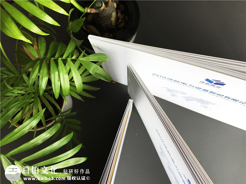 企業(yè)畫冊內(nèi)容的總結(jié)-8大畫冊設計重點總結(jié)第2張-宣傳畫冊,紀念冊設計制作-價格費用,文案模板,印刷裝訂,尺寸大小