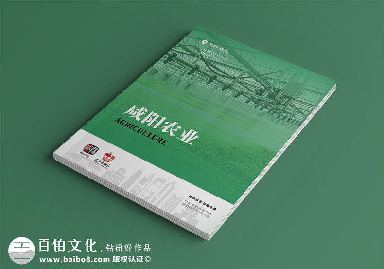 專注宣傳冊(cè)制作服務(wù)-現(xiàn)代簡(jiǎn)潔的宣傳冊(cè)設(shè)計(jì)模板