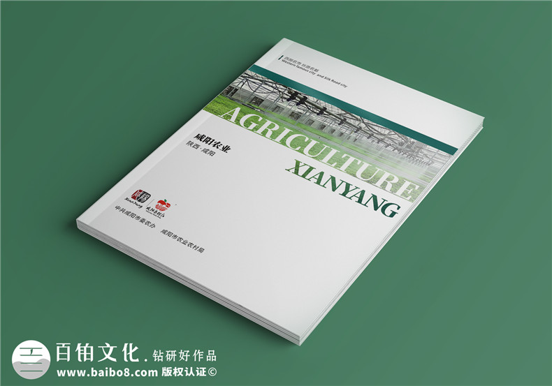 企業(yè)畫冊設(shè)計-成都畫冊設(shè)計展示品牌產(chǎn)品實力第1張-宣傳畫冊,紀(jì)念冊設(shè)計制作-價格費用,文案模板,印刷裝訂,尺寸大小