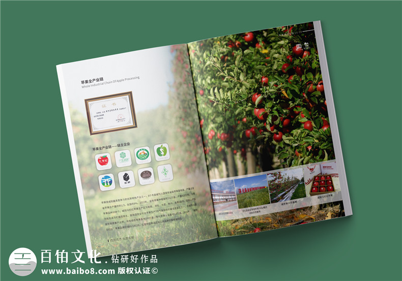 專注宣傳冊(cè)制作服務(wù)-現(xiàn)代簡(jiǎn)潔的宣傳冊(cè)設(shè)計(jì)模板