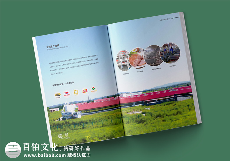 企業(yè)畫冊設(shè)計-成都畫冊設(shè)計展示品牌產(chǎn)品實力第3張-宣傳畫冊,紀(jì)念冊設(shè)計制作-價格費用,文案模板,印刷裝訂,尺寸大小
