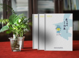 制作紀(jì)念抗疫英雄的相冊-送支援醫(yī)療隊(duì)平安歸來個人或愛人疫情影集
