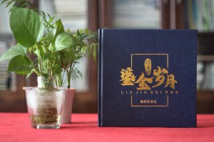 法院領(lǐng)導(dǎo)調(diào)離紀(jì)念冊(cè)設(shè)計(jì)-檢察院紀(jì)委書(shū)記在職期間工作業(yè)績(jī)回顧畫(huà)冊(cè)