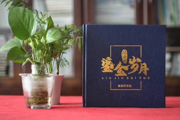 法院領導調離紀念冊設計-檢察院紀委書記在職期間工作業(yè)績回顧畫冊