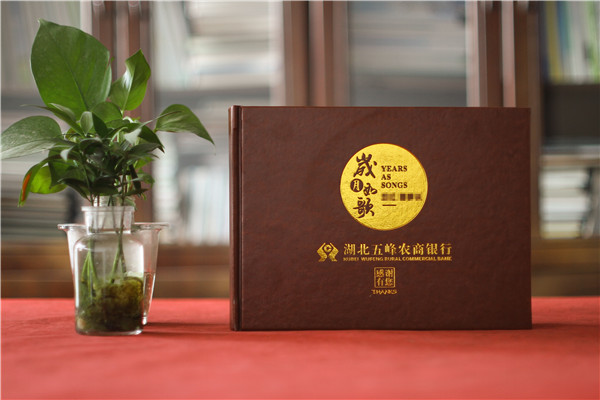 農(nóng)商銀行總經(jīng)理入職一周年員工送紀(jì)念冊-領(lǐng)導(dǎo)懷念相冊