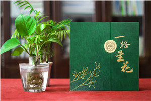 【高端定制?領(lǐng)袖印記】精裝領(lǐng)導(dǎo)紀(jì)念冊 —— 鐫刻時(shí)光，鑄就榮耀