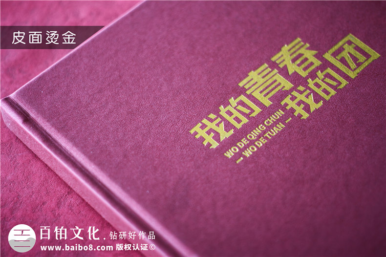 共青團委領導調走紀念相冊-黨委系統(tǒng)送別黨員影集照片書冊禮品定制