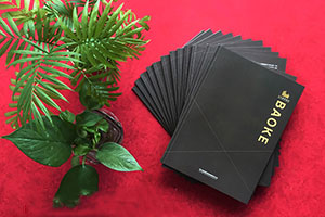 成都畫(huà)冊(cè)設(shè)計(jì)公司 具有專(zhuān)業(yè)的畫(huà)冊(cè)創(chuàng)意設(shè)計(jì)方向！