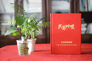 疫情紀(jì)念冊 為疫情后的醫(yī)療隊志愿者制作紀(jì)念冊 紀(jì)念不平凡！