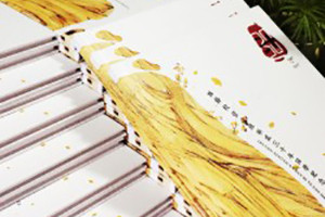 聚會紀(jì)念冊之個性同學(xué)錄紀(jì)念冊設(shè)計(jì)