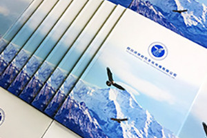 企業(yè)畫冊設(shè)計思路、理念有哪些重要的設(shè)計原則？