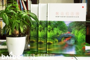 同學(xué)聚會(huì)紀(jì)念冊(cè)內(nèi)容設(shè)計(jì) 應(yīng)該放入哪些板塊,放入哪些紀(jì)念冊(cè)內(nèi)容？