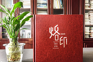 怎樣做出意義深遠(yuǎn)的個人紀(jì)念冊，個人成長紀(jì)念冊制作的做法是什么？