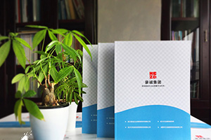 企業(yè)畫冊設(shè)計怎么做？畫冊制作的通用方法思考