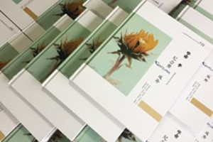 分享一篇簡短卻文藝范十足的畢業(yè)紀念冊序言